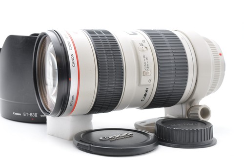Teleobiettivo zoom canon - canon, ef