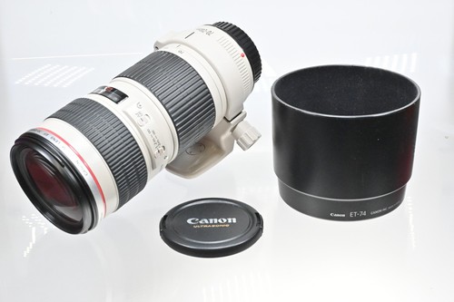 Obiettivo zoom canon - zoom, ef