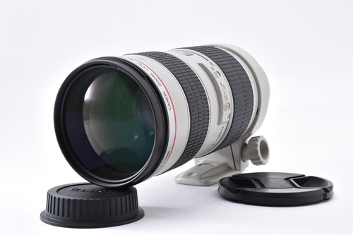 Ottime condizioni canon - canon, ef